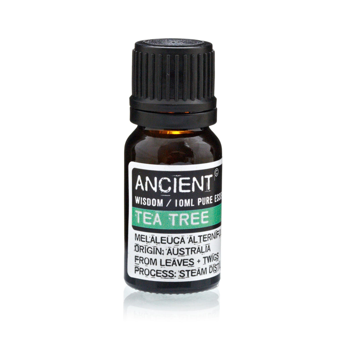 Set of Lavender, Tea Tree & Rosemary Essential Oils - 10ml Each